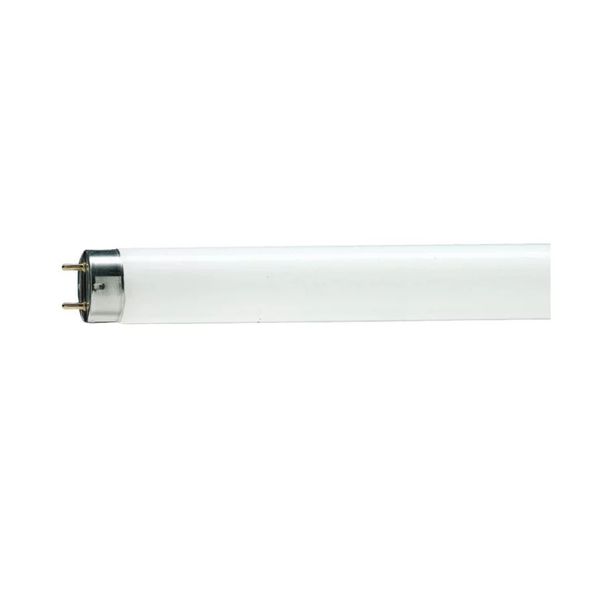 TL-D Standard Colours 36 W G13 Cool daylight Linear fluorescent tube image 1