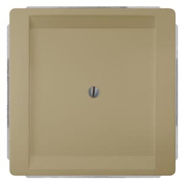 Style, blanking plate, 68x 68 mm malt gold image 1