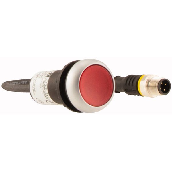 Illuminated pushbutton actuators, maintained, red, 24v, 1 N/C, with cable 0.5m and M12A plug image 5