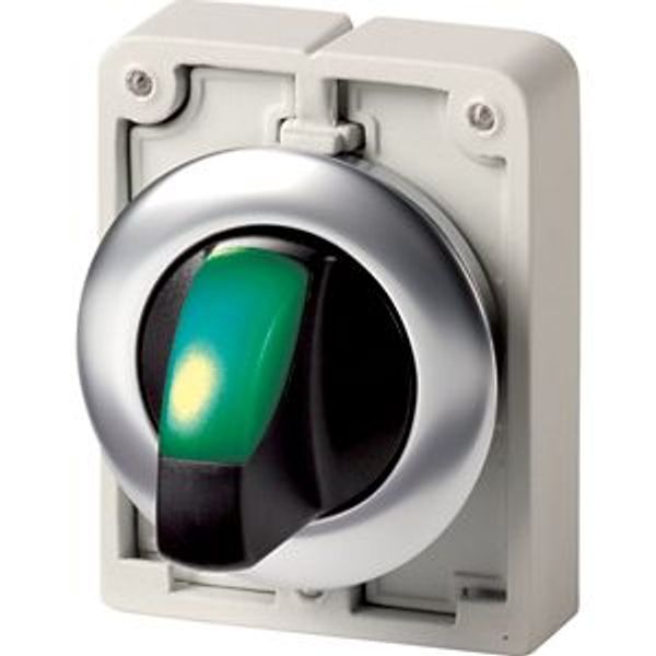 Illuminated selector switch actuator, RMQ-Titan, with thumb-grip, maintained, 3 positions, green, Front ring stainless steel image 1