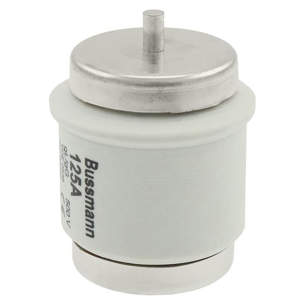 Fuse-link, low voltage, 125 A, AC 500 V, D5, 56 x 46 mm, gL/gG, DIN, IEC, time-delay image 21