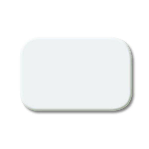 2525 N-214 CoverPlates (partly incl. Insert) carat® Alpine white image 1