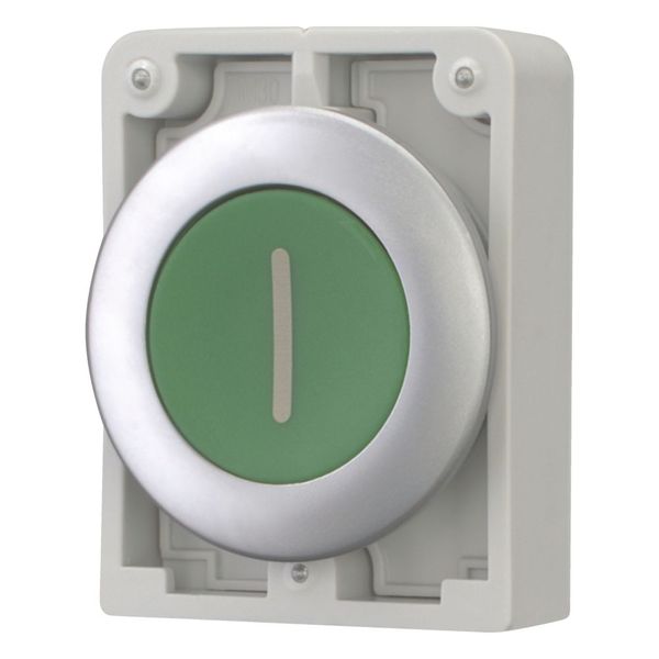 Pushbutton, RMQ-Titan, Flat, maintained, green, inscribed, Metal bezel image 6