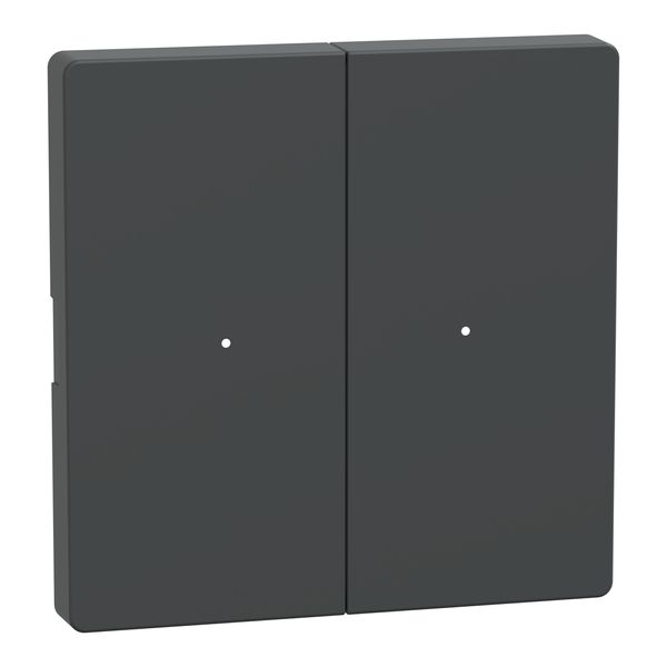 Rocker for 2-gang push-button module, anthracite, System Design image 3