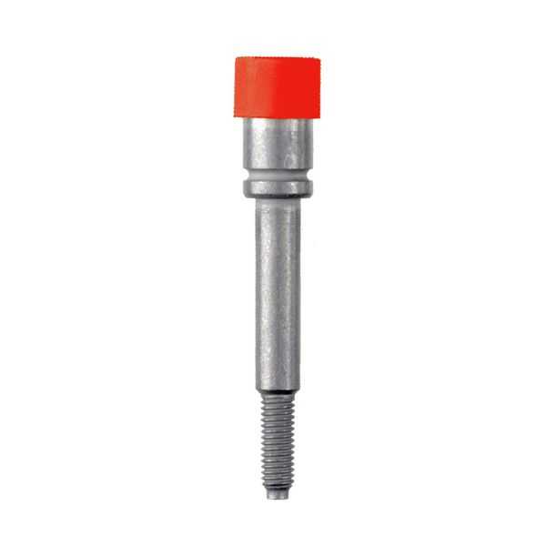 Socket (terminal), Plug-in depth: 8 mm, Depth: 37.5 mm image 1