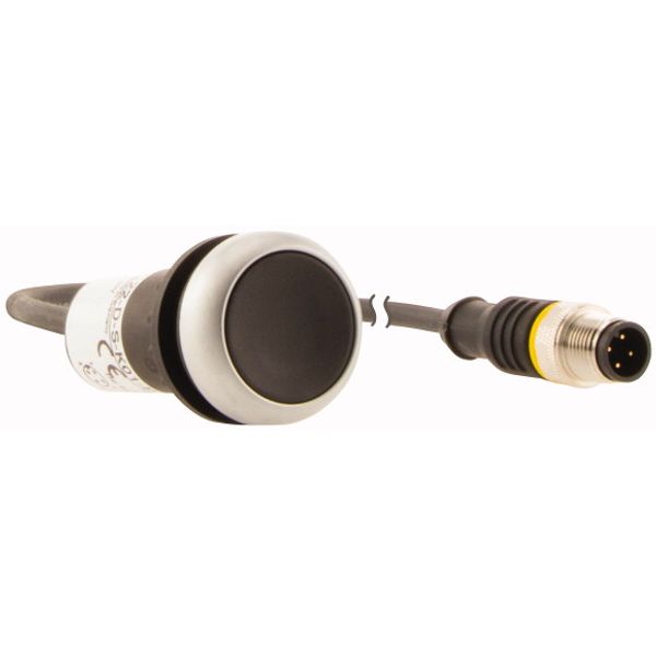 Pushbutton, Flat, momentary, 1 NC, Cable (black) with M12A plug, 4 pole, 0.2 m, black, Blank, Bezel: titanium image 4