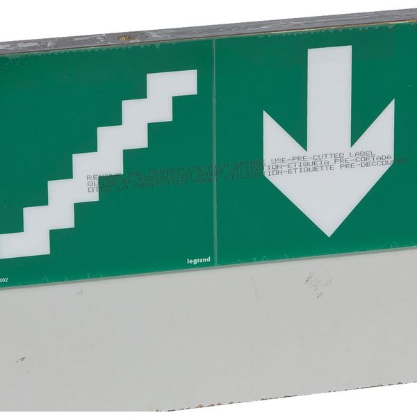 Label - for emergency lighting luminaires - stairs below - 127 x 254 mm image 1