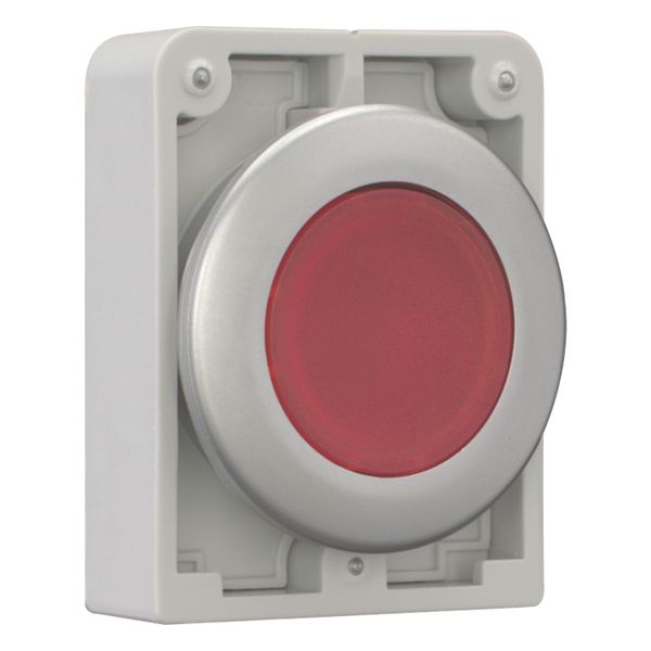 Illuminated pushbutton actuator, RMQ-Titan, Flat, maintained, red, Blank, Metal bezel image 14