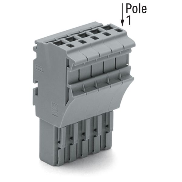 1-conductor female connector Push-in CAGE CLAMP® 4 mm² gray image 1