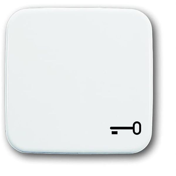 2520 TR-214 CoverPlates (partly incl. Insert) carat® Alpine white image 1
