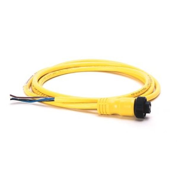 Allen-Bradley 889N-F4AE-50F Mini Cable, Female, Straight (Int Threads), Female, Straight (int threads), 4-Pins, Standard Materials, 4-Pins, Cable, No Connector, Cable - IEC Stndrd Color Code, No Connector, Same as First End, PVC Cbl, Yellow image 1