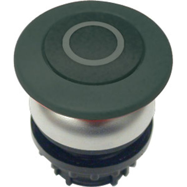 Mushroom actuator, RMQ-Titan, Mushroom, momentary, Mushroom black, black, inscribed, Bezel: titanium image 1