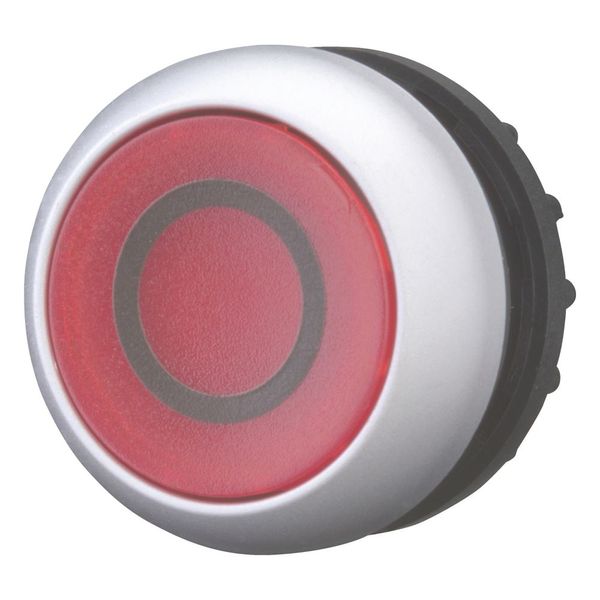 Illuminated pushbutton actuator, RMQ-Titan, Flush, momentary, red, inscribed, Bezel: titanium image 5