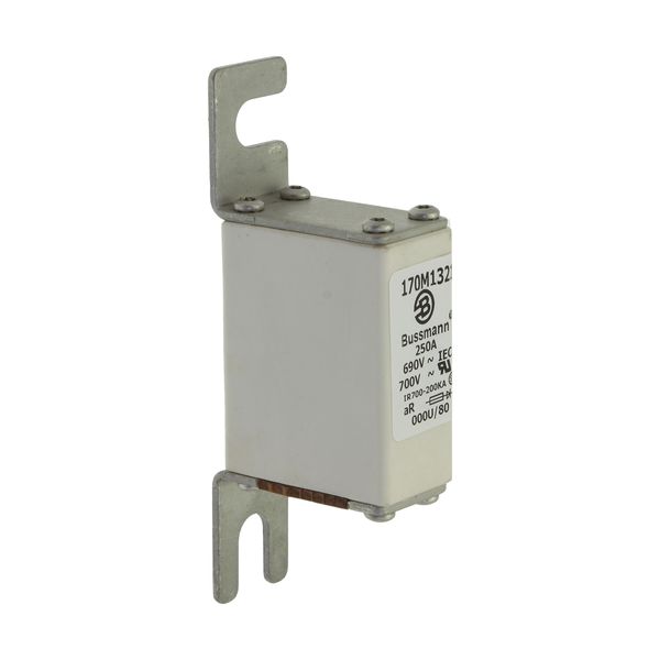 Fuse-link, high speed, 250 A, AC 690 V, DIN 000, 21 x 40 x 100 mm, aR, DIN, IEC image 14