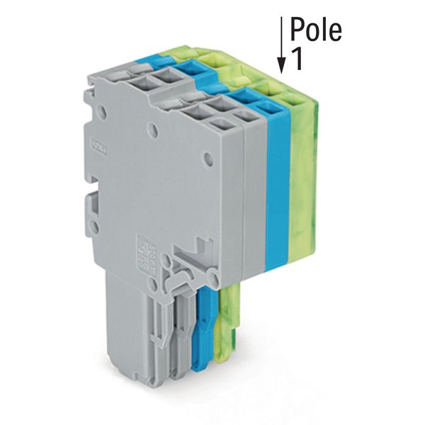 2-conductor female connector Push-in CAGE CLAMP® 1.5 mm² gray/blue/gre image 2