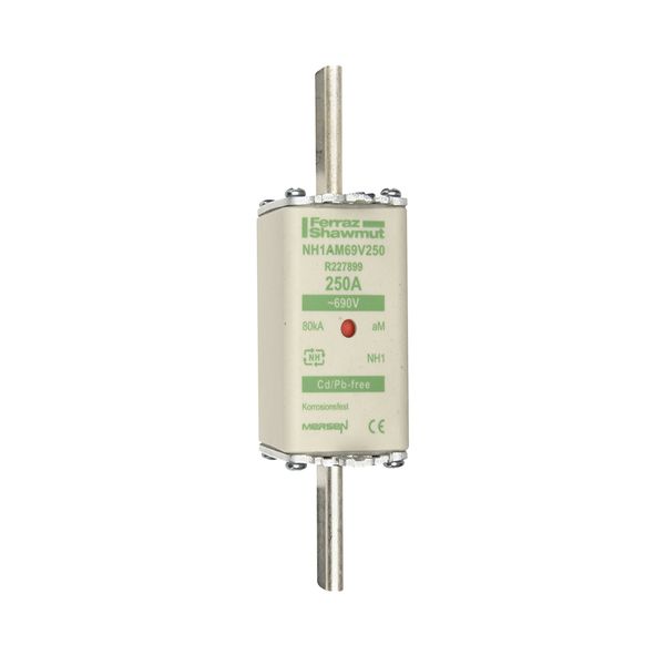 Fuse-link NH1 aM 690VAC 250A live tags Double indicator image 1