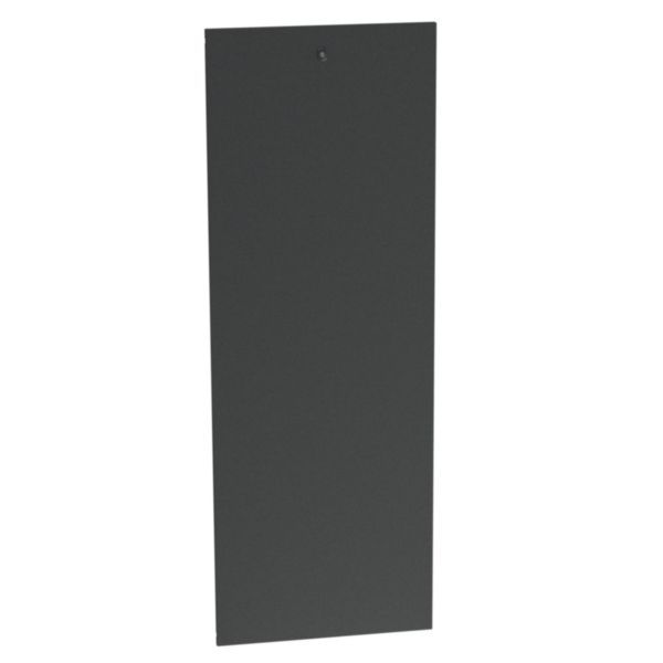 600mm wide panel for maintenance bay 19inch LCS³ 42U image 2