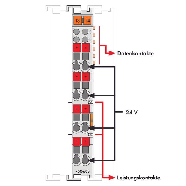 Potential Distribution 8-way 24 V light gray image 3