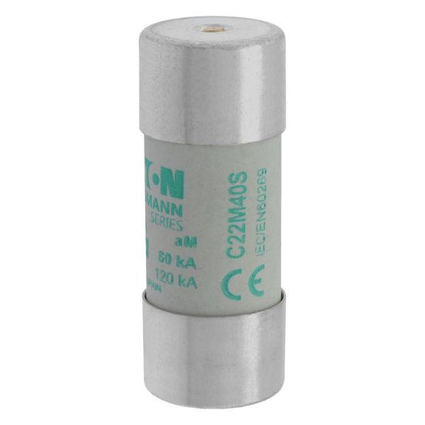 Fuse-link, LV, 40 A, AC 690 V, 22 x 58 mm, aM, IEC, with striker image 15