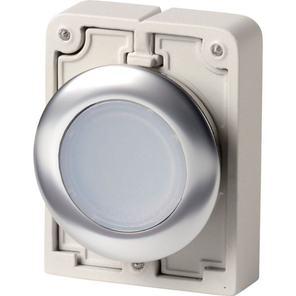 Illuminated pushbutton actuator, RMQ-Titan, flat, momentary, White, blank, Front ring stainless steel image 3