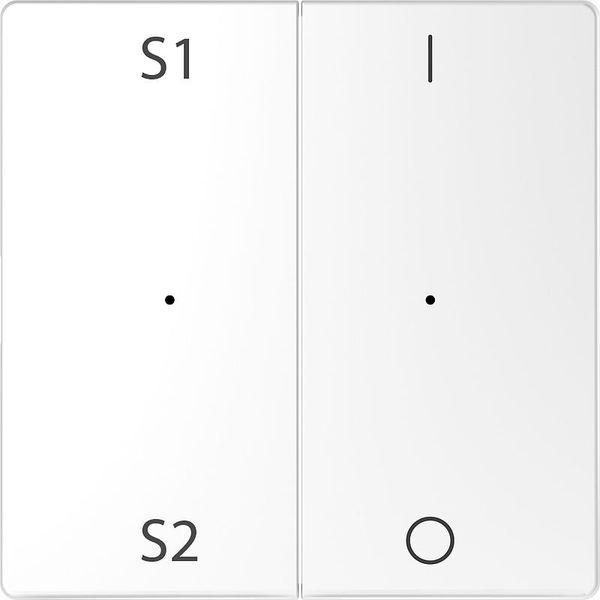 Rockers for button module 2-fold (Scene1/2, 1/0), lotus white, system design image 1