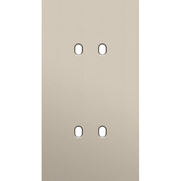 Twofold faceplate, vertical 71 mm centre distance, for double switch f image 1