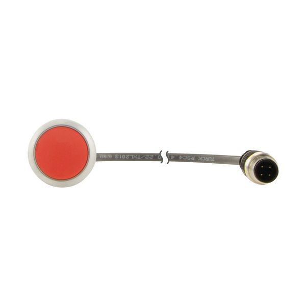 Pushbutton, Flat, momentary, 1 NC, Cable (black) with M12A plug, 4 pole, 0.2 m, red, Blank, Bezel: titanium image 13