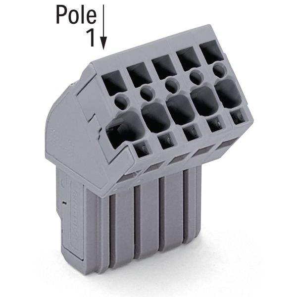 1-conductor female connector, angled CAGE CLAMP® 4 mm² gray image 2