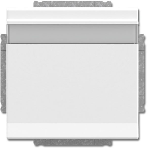 20 EUKNB-84 CoverPlates (partly incl. Insert) future®, Busch-axcent®, solo®; carat® Studio white image 1