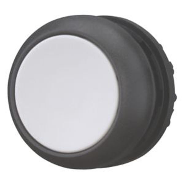 Pushbutton, RMQ-Titan, Flat, momentary, gray, Blank, Bezel: black image 2