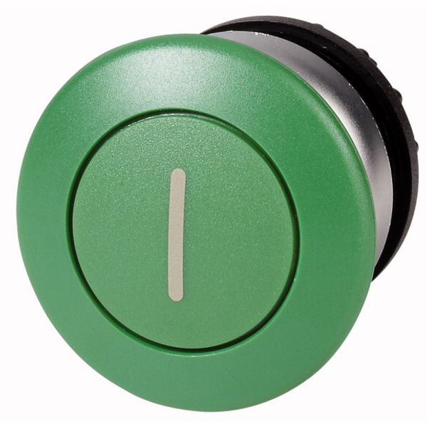Mushroom actuator, RMQ-Titan, Mushroom, momentary, Mushroom green, green, inscribed, Bezel: titanium image 1