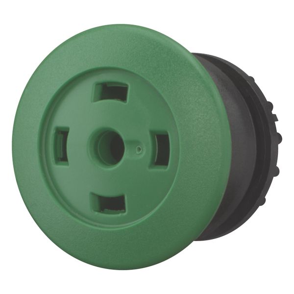 Mushroom actuator, RMQ-Titan, Mushroom, maintained, Mushroom green, Without button plate, Bezel: black image 8