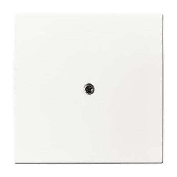 1755 SL/PZ-84-101 CoverPlates (partly incl. Insert) future®, Busch-axcent®, solo®; carat® Studio white image 5
