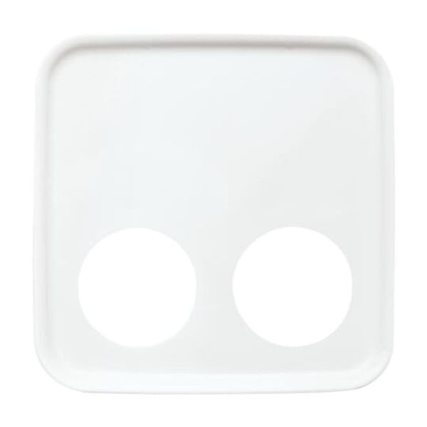 2548-020 D-214 CoverPlates (partly incl. Insert) Data communication Alpine white image 3