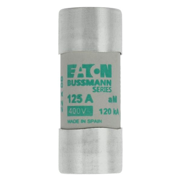 Fuse-link, LV, 125 A, AC 400 V, 22 x 58 mm, aM, IEC image 9