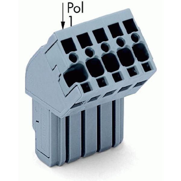 1-conductor female connector, angled CAGE CLAMP® 4 mm² gray image 1