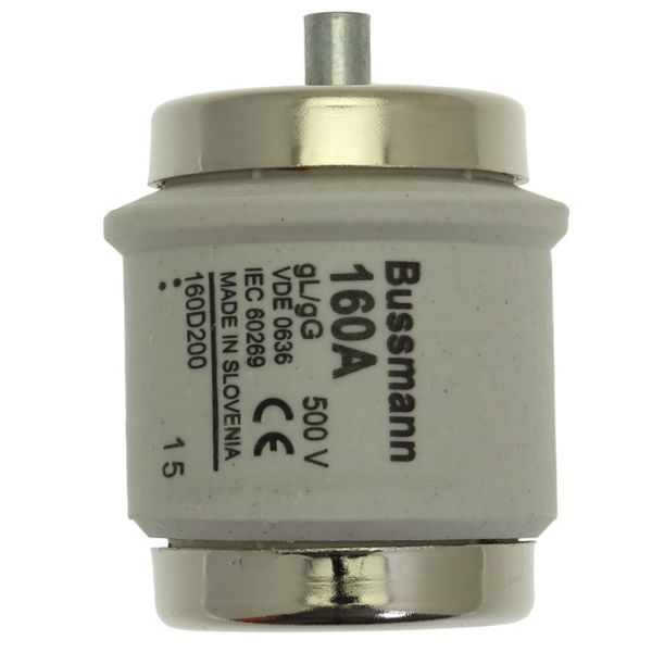 Fuse-link, low voltage, 160 A, AC 500 V, D5, 56 x 46 mm, gL/gG, DIN, IEC, time-delay image 2