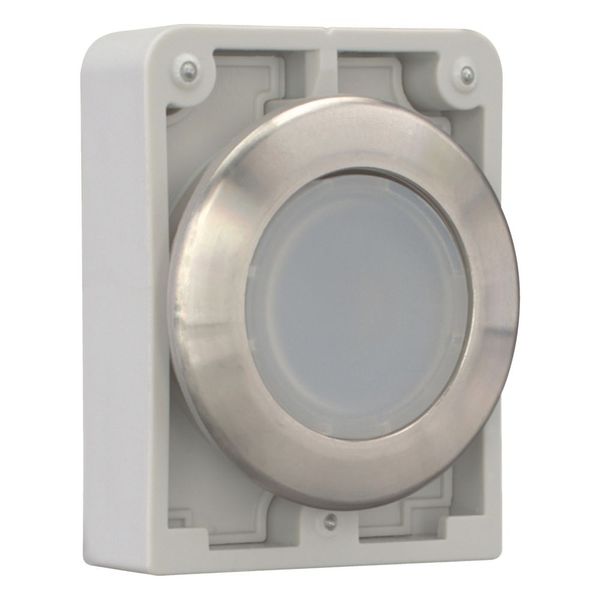 Illuminated pushbutton actuator, RMQ-Titan, flat, maintained, White, blank, Front ring stainless steel image 13