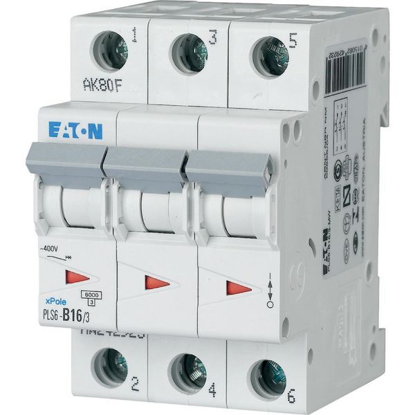 Miniature circuit breaker (MCB), 16 A, 3p, characteristic: B image 3