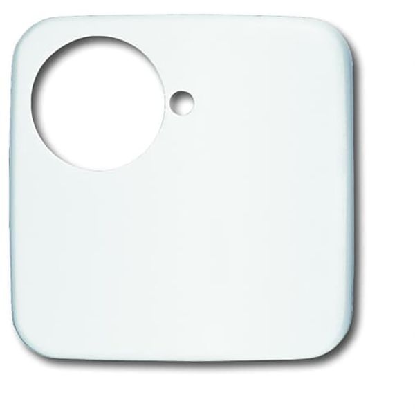 1790-581-214 CoverPlates (partly incl. Insert) Data communication Alpine white image 1