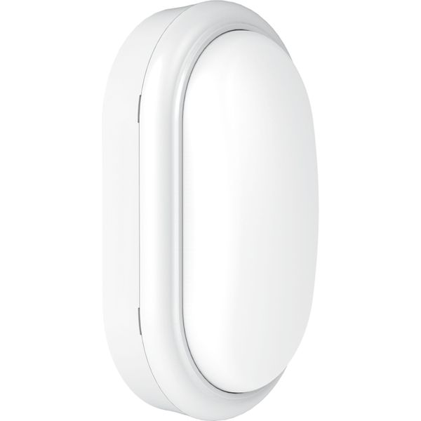 Projectline Wall mount oval 1400lm 4000K image 1
