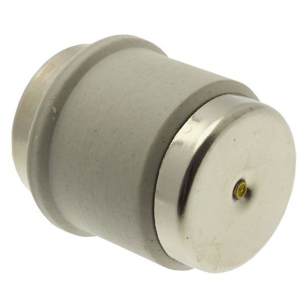 Fuse-link, low voltage, 125 A, AC 500 V, D5, 56 x 46 mm, gR, DIN, IEC, fast-acting image 10