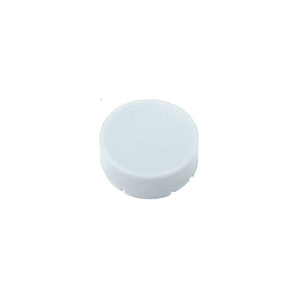 Button plate, raised white, blank image 3