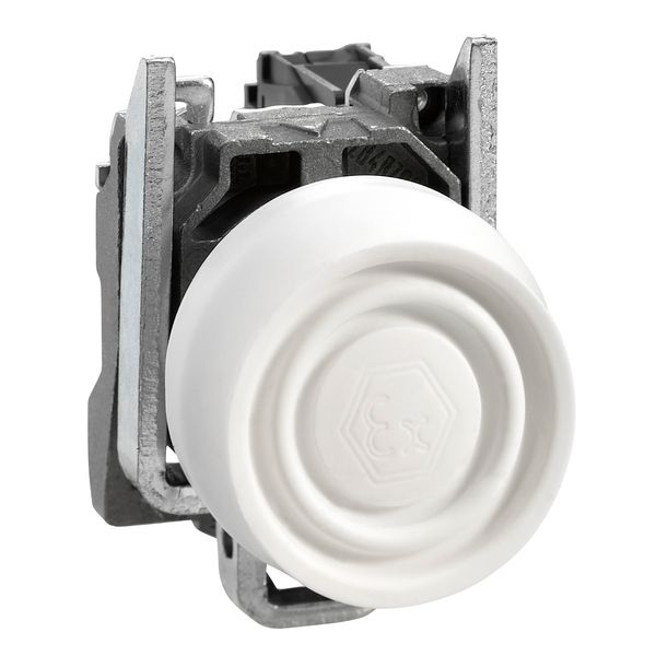 ATEX PUSHBUTTON image 1