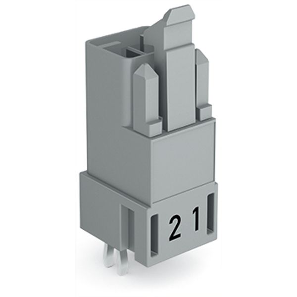 Plug for PCBs straight 2-pole gray image 3