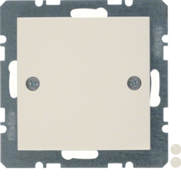 Blind plug centre plate, screw-on, S.1, white glossy image 2