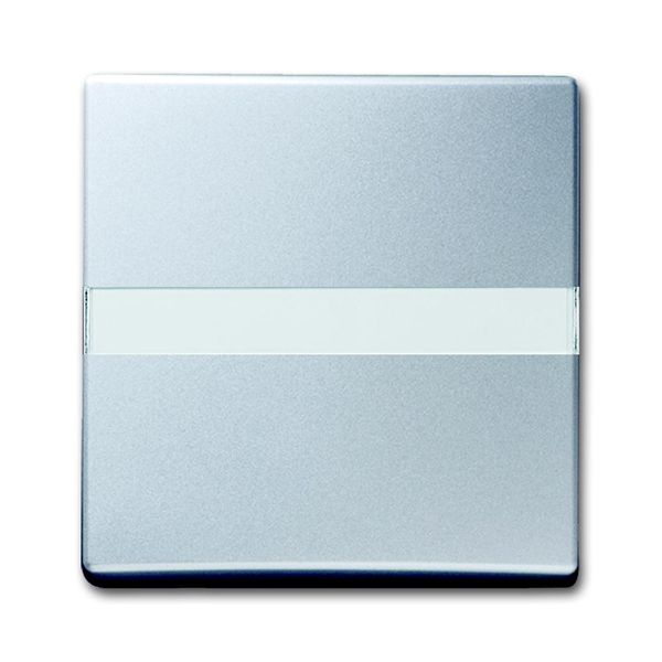 2106 N-33 CoverPlates (partly incl. Insert) carat® Aluminium silver image 1