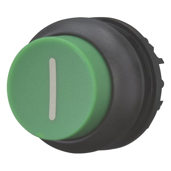 Pushbutton, RMQ-Titan, Extended, momentary, green, inscribed, Bezel: black image 3