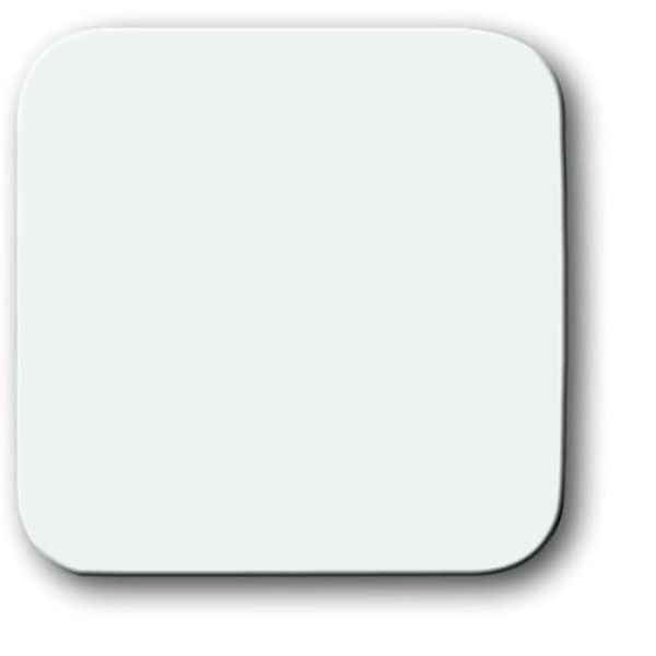 2506-214 CoverPlates (partly incl. Insert) carat® Alpine white image 1