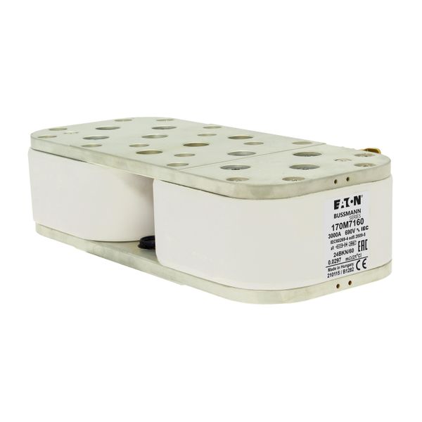 FUSE 3000A 660V 24BKN/60 AR image 25